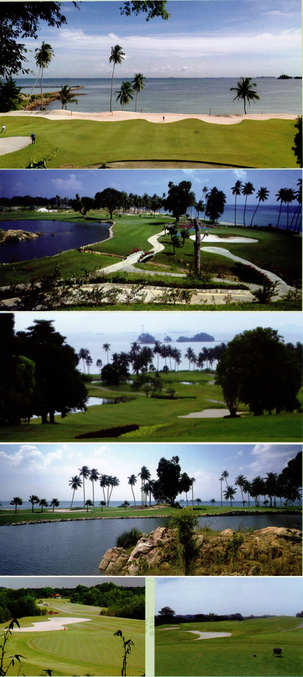 Palm spring golf course photo 2